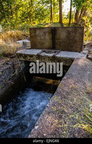 Canal d'irrigation, vallée du Po , Asti , Piémont , Italie Banque D'Images