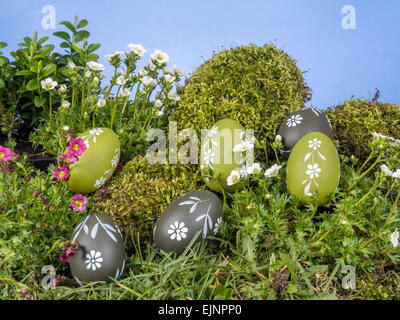 Oeufs de Pâques éparpillés dans l'herbe avec des fleurs de printemps sur ciel bleu Banque D'Images