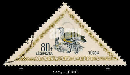 Hongrie - VERS 1952 : Timbres en forme de triangle avec imprimé en Hongrie montre grande outarde (otis tarda) à partir de la question des oiseaux hongrois, Banque D'Images