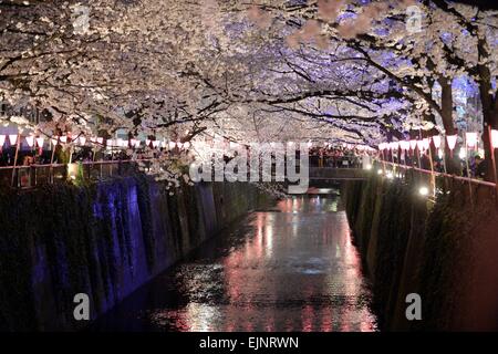 Tokyo. 30Th Mar, 2015. Photo prise le 30 mars 2015 montre la floraison des cerisiers à Tokyo. © Ma Ping/Xinhua/Alamy Live News Banque D'Images