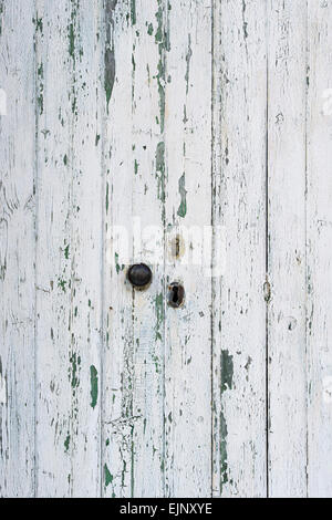 Vieilles portes en bois peint en blanc avec la texture de la peinture Banque D'Images