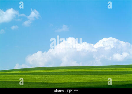 Les champs agricoles au printemps avec cumulus humilis nuages allemagne europe Banque D'Images