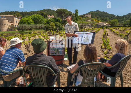 Maison de vacances autour de dégustation de vin des vignobles de Gigondas AOC. Vaucluse. Provence-Alpes-Cote d'Azur. France Banque D'Images