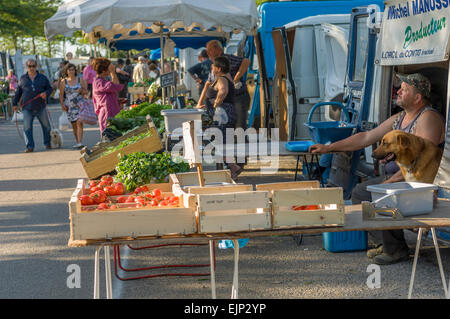 Opérateur de marché assis avec son chien au marché des fermiers à Velleron. Vaucluse. Provence. France Banque D'Images