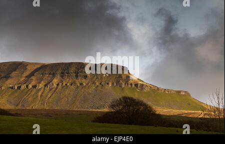 Pen-y-ghent dans le Yorkshire Dales est l'un des trois sommets du Yorkshire Banque D'Images