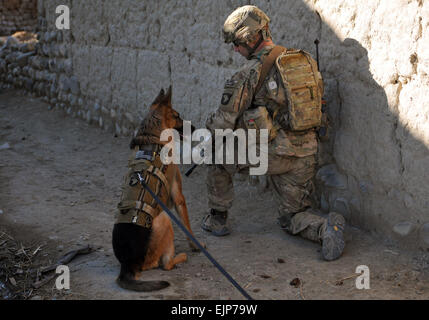 La 1ère Armée américaine Sgt. Brian Zamiska, 3e Bataillon, 187e Régiment d'infanterie, 3e Brigade Combat Team, 101st Airborne Division Air Assault, tire sur la sécurité avec un chien de travail de l'US Air Force, le 6 janvier 2013, lors d'une patrouille de la police frontalière afghane dans Tera Zeyi district, l'Afghanistan. La CPS. Alex Kirk Amen Banque D'Images