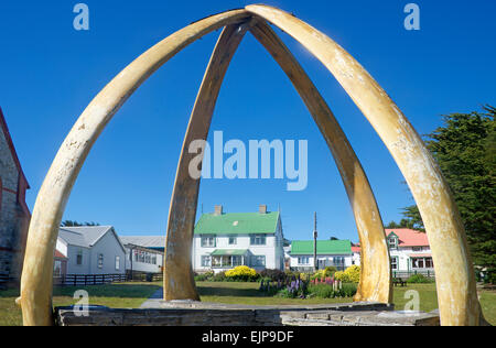 L'os de baleine arch Port Stanley Falkland Banque D'Images