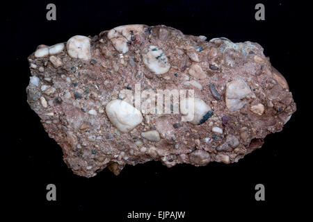 Conglomérat Quartz, ancien supérieur de grès rouge, gorge du Dévonien,vallée de la Wye, Herefordshire, Angleterre, RU Banque D'Images