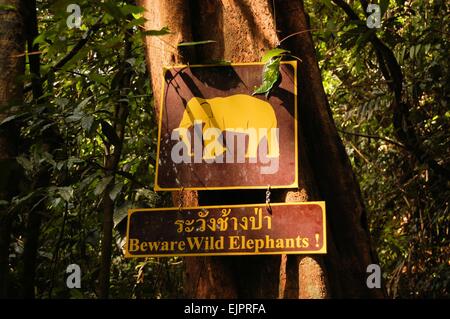 Avertissement signe d'éléphants sauvages, de Khao Sok, Thaïlande Banque D'Images