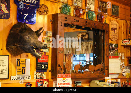 Dell, Montana, USA. Bar, café hiers hier. Artefacts de chasse sur le mur Banque D'Images