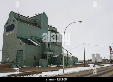 Milk River, Alberta, silos élévateurs à grains verts. Banque D'Images