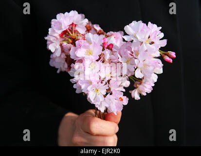 Bouquet en forme de cœur avec des fleurs de cherry blossom tree Banque D'Images