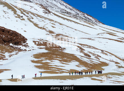 Des étudiants d'université de UK sur terrain couvert de neige dans le Parc National du Teide sur Tenerife, Canaries, Espagne Banque D'Images