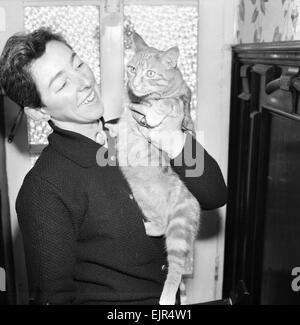 Ce stray cat gingembre est quelque chose d'un miracle de la survie. Terriblement blessé et abandonné comme bien que mort, Faith healer Mme Marilyn Prescott de Saltash, Cornwall a refusé de renoncer à sa lutte pour le garder en vie, et a réussi. Le chat est maintenant rafraîchissante et complètement remis et est nommé "Vicki". "Vicki" est d'environ 18 mois. Notre photo montre : 'Vicki' le gingembre cat étant détenu par Mme Prescott à son domicile. Janvier 1972 Banque D'Images