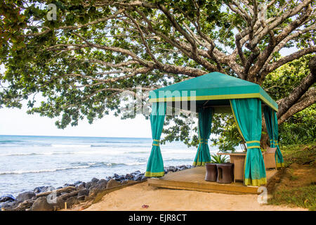 Cabana sur plage de sable donnant sur Ocean Banque D'Images