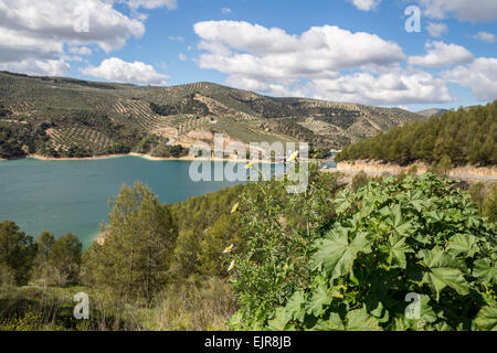 El Emblase de Iznajar / le réservoir de Iznajar, Cordoue, Andalousie, Espagne Banque D'Images