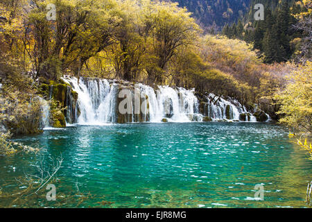 Cascade bambou flèche jiuzhaigou scenic dans le Sichuan, Chine Banque D'Images