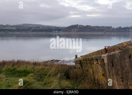 Navires Purton cimetière sur la rivière Severn près de netteté . De nombreuses vieilles péniches ont été délibérément coulé ici afin de prévenir l'érosion. Banque D'Images