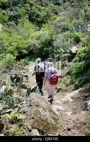 Deux hommes marchant le long d'un sentier de randonnée bien entretenus près de Barranco de Guayadeque, Gran Canaria, Espagne Banque D'Images