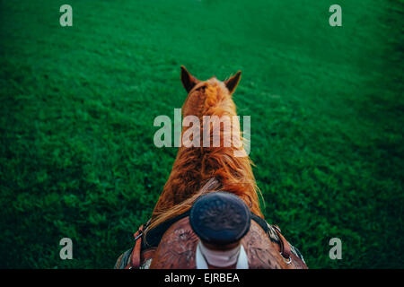 Cheval de selle avec walking on farm Banque D'Images