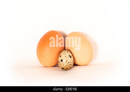 Deux gros oeufs de poule de couleur orange et une saturation différents petit oeuf de caille. Les œufs se tient ensemble sur fond blanc Banque D'Images