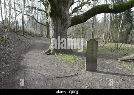 Panneau près de l'Écosse de birnam oak mars 2015 Banque D'Images