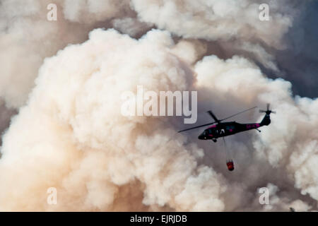 L'Adjudant-chef de l'armée, le Capitaine Chris Aylstock Colton Brauer et Sgt. Chris Boni bataille la forêt sur Yosemite National Park, Californie, le 22 août, 2013. La Garde Nationale de Californie UH-60 Black Hawk et HH-60 Pave Hawk sont pleinement en vigueur à l'appui des services forestiers des États-Unis et en Californie, les pompiers. Aylstock, Brauer et Boni sont affectés au 1er bataillon du 140e Régiment d'aviation. Le sergent-chef. Julie Avey Banque D'Images