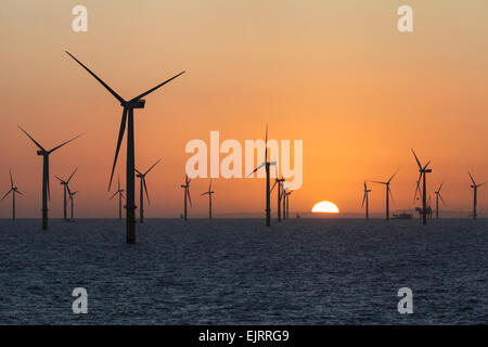 Lever du soleil sur l'Gwynt y Mor parc éolien offshore au large de la côte nord du Pays de Galles, Royaume-Uni Banque D'Images