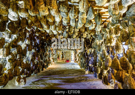 Polesine Parmense, les caves pour le vieillissement de porc salé dans l'Antica Corte Pallavicina Relais Banque D'Images