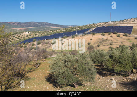 Des oliviers et des panneaux solaires, Province de Grenade, Andalousie, Espagne du sud. Banque D'Images