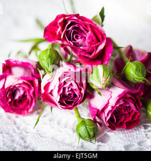 Plus de roses roses napperon au crochet. Concept décoration Vintage Banque D'Images
