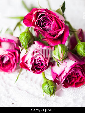 Plus de roses roses napperon au crochet. Concept décoration Vintage Banque D'Images