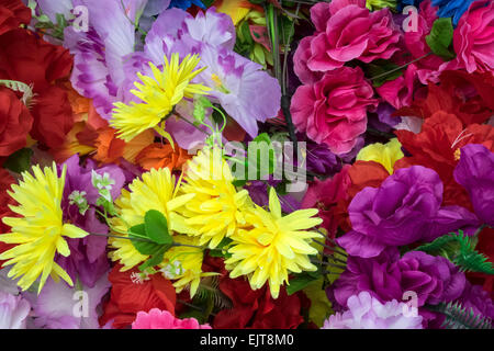 Fleurs des fils Banque D'Images