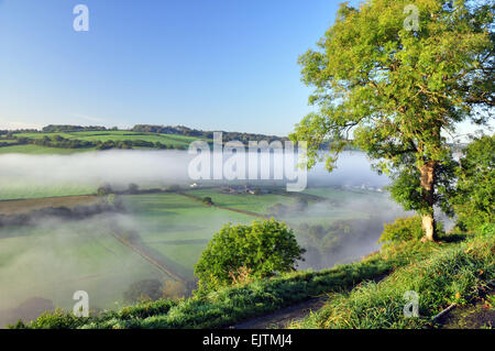 La vue sur la vallée de la rivière Torridge à partir de la colline du Château, Great Torrington, Devon, Angleterre Banque D'Images