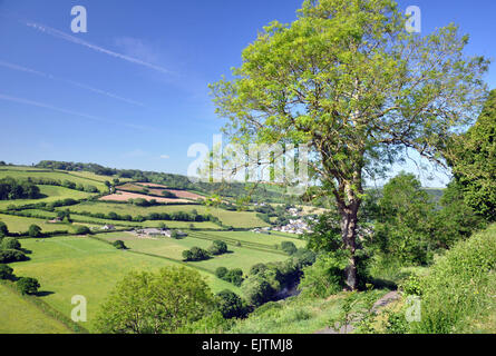 La vue sur la vallée de la rivière Torridge à partir de la colline du Château, Great Torrington, Devon, Angleterre Banque D'Images