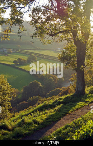 La vue sur la vallée de la rivière Torridge à partir de la colline du Château, Great Torrington, Devon, Angleterre Banque D'Images