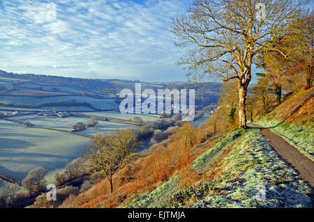 La vue sur la vallée de la rivière Torridge à partir de la colline du Château, Great Torrington, Devon, Angleterre Banque D'Images