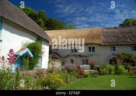 Un groupe de jolies chaumières anglais traditionnel dans le village de North Devon Georgeham, près de Croyde Banque D'Images