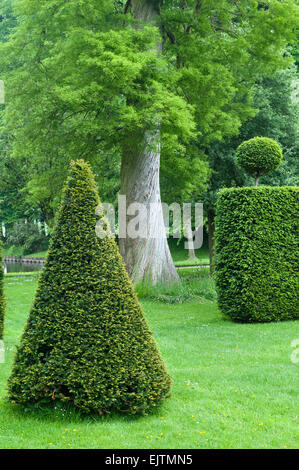 Erddig Hall gardens, Wrexham, Wales, UK. If dans le topiaire clippé jardin restauré Banque D'Images