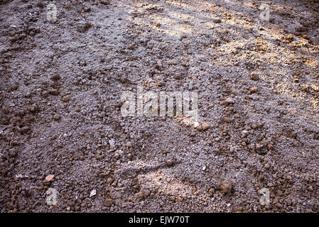 Potager fraîchement creusée dans un couvert de gel au début du printemps dans l'ombre et de la lumière du soleil. UK Banque D'Images