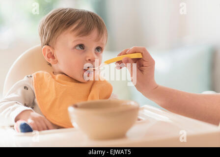 L'alimentation de la mère petit garçon (2-3) avec cuillère Banque D'Images