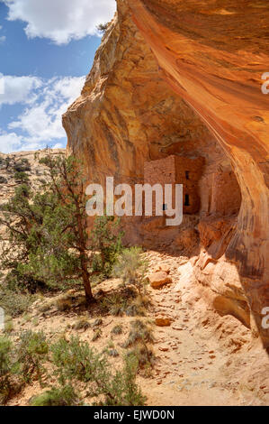 Des ruines Indiennes Anasazi tour - Comb Ridge - Utah Banque D'Images