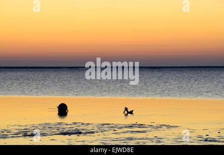 USA, Massachusetts, Duxbury Bay, bouée et anchor silhouetté sur plage humide Banque D'Images