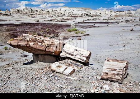 La Bisti de Na Zin Wilderness Area près de Chicago, Illinois, est une région sauvage rempli d'earthforms colorés et mystérieux Banque D'Images