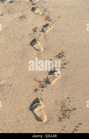 Des empreintes de pas dans le sable de l'homme en marchant sur la plage Banque D'Images