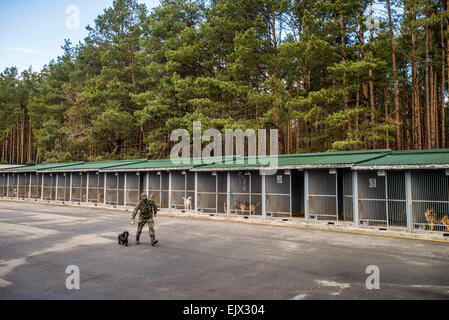 Kiev, Ukraine. 1er avril 2015. Chien de police et de formation. Trainer promenades avec spaniel Dina à la formation de chien de milice et centre d'élevage, Kiev, Ukraine. 1 d'avril. Crédit : Oleksandr Rupeta photographe/Alamy Live News Banque D'Images