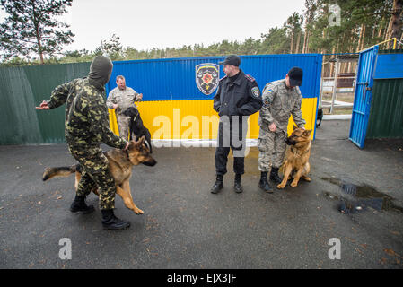 Kiev, Ukraine. 1er avril 2015. Chien de police et de formation. Stand des formateurs avec leur chien contre la porte peinte en jaune et bleu couleurs de drapeau national de la milice ukrainienne à la formation de chien et centre d'élevage, Kiev, Ukraine. 1 d'avril. Crédit : Oleksandr Rupeta photographe/Alamy Live News Banque D'Images