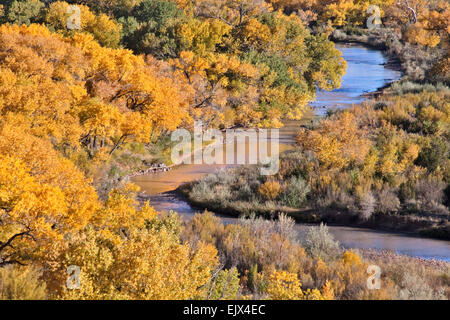 Des peupliers en automne couleur ligne les rives de la rivière Chama en octobre près du village de Abiquiu dans le nord du Nouveau Mexique. Banque D'Images