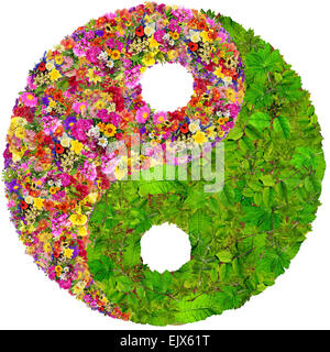 Yin et Yang symbole floral faites à partir de l'été des fleurs et des feuilles. Collage fait main isolé Banque D'Images