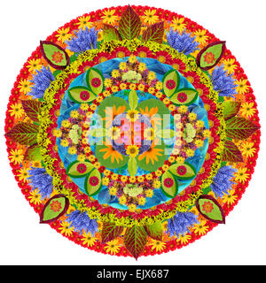 Mandala - Printemps Automne et l'été à rotation circulaire- concept abstrait. Collage isolés faits main fabriqués à partir de plantes et de fleurs Banque D'Images